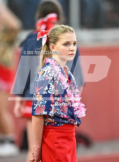 Thumbnail 1 in Harrison @ Dardanelle photogallery.
