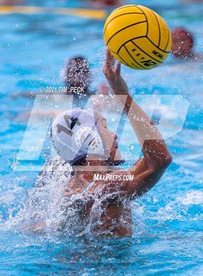 Thumbnail 2 in Troy @ Villa Park photogallery.