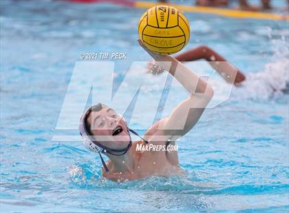 Thumbnail 3 in Troy @ Villa Park photogallery.