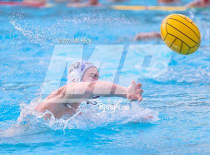 Thumbnail 3 in Troy @ Villa Park photogallery.