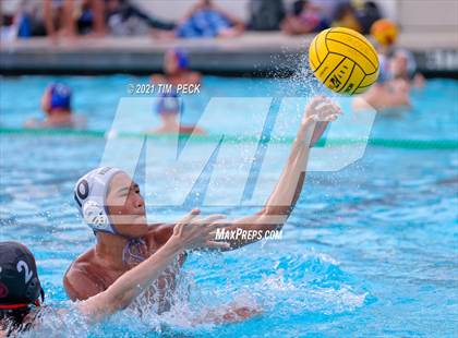 Thumbnail 2 in Troy @ Villa Park photogallery.