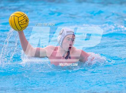 Thumbnail 3 in Troy @ Villa Park photogallery.