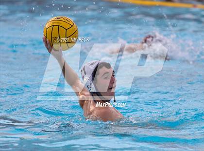Thumbnail 1 in Troy @ Villa Park photogallery.