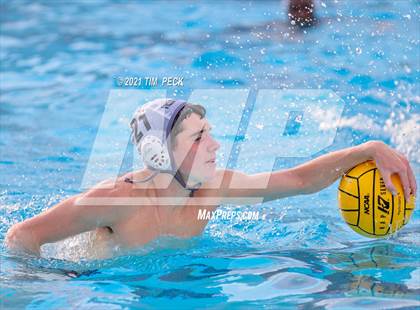 Thumbnail 3 in Troy @ Villa Park photogallery.