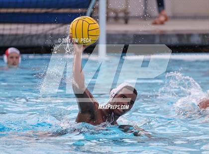 Thumbnail 1 in Troy @ Villa Park photogallery.