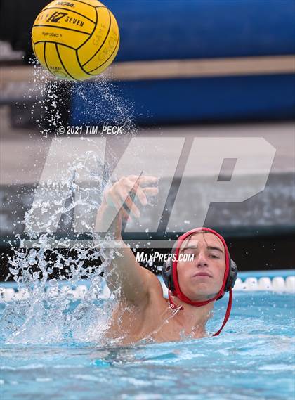 Thumbnail 1 in Troy @ Villa Park photogallery.