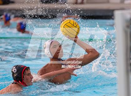 Thumbnail 3 in Troy @ Villa Park photogallery.