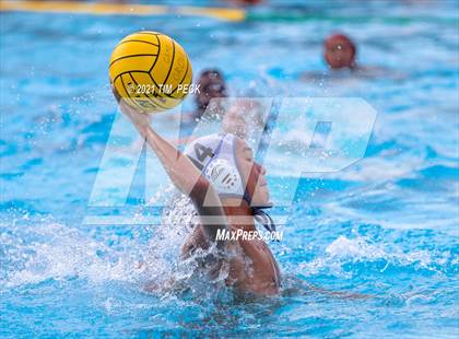 Thumbnail 2 in Troy @ Villa Park photogallery.