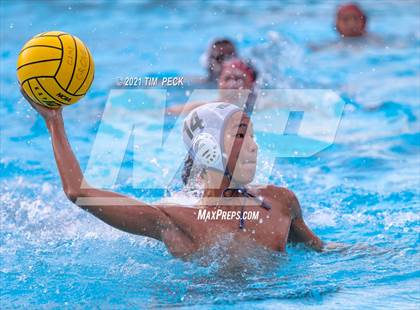 Thumbnail 3 in Troy @ Villa Park photogallery.