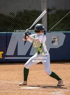 Photo from the gallery "Palo Verde Valley @ Madison"