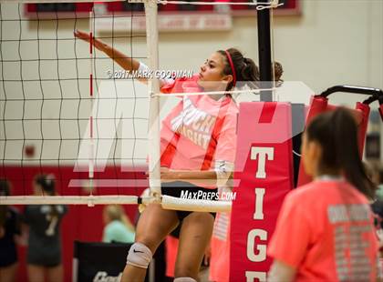 Thumbnail 1 in Seven Lakes @ Katy photogallery.