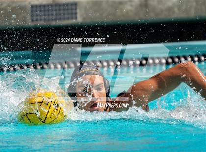 Thumbnail 3 in Redwood vs. Foothill photogallery.