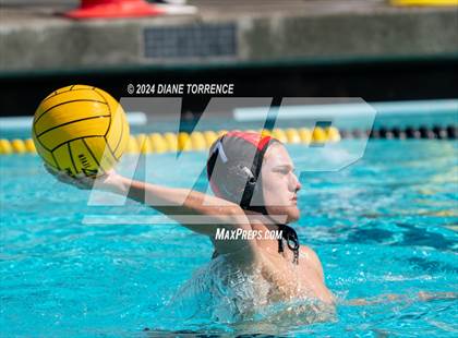 Thumbnail 3 in Redwood vs. Foothill photogallery.
