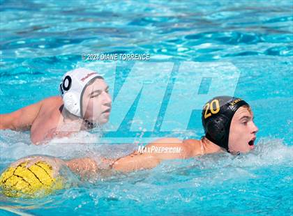 Thumbnail 3 in Redwood vs. Foothill photogallery.