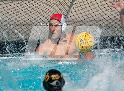 Thumbnail 1 in Redwood vs. Foothill photogallery.