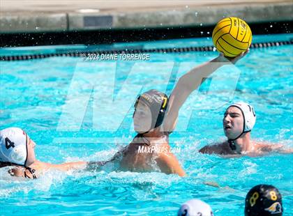 Thumbnail 1 in Redwood vs. Foothill photogallery.