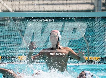 Thumbnail 2 in Redwood vs. Foothill photogallery.
