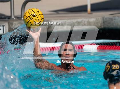 Thumbnail 1 in Redwood vs. Foothill photogallery.