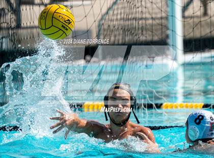 Thumbnail 1 in Redwood vs. Foothill photogallery.