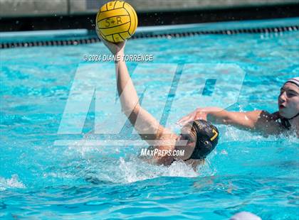 Thumbnail 3 in Redwood vs. Foothill photogallery.