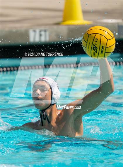 Thumbnail 1 in Redwood vs. Foothill photogallery.