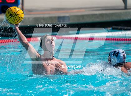 Thumbnail 2 in Redwood vs. Foothill photogallery.