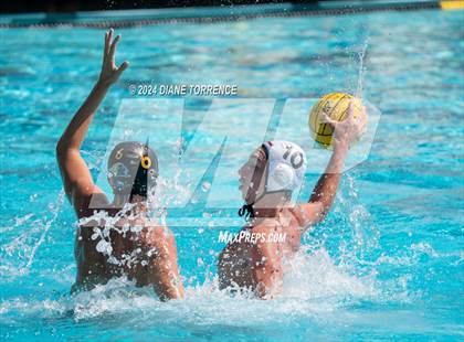 Thumbnail 3 in Redwood vs. Foothill photogallery.