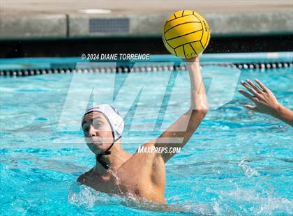 Thumbnail 3 in Redwood vs. Foothill photogallery.