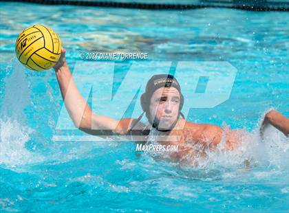 Thumbnail 3 in Redwood vs. Foothill photogallery.