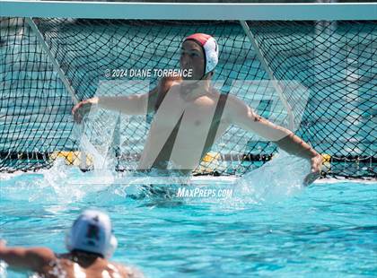 Thumbnail 3 in Redwood vs. Foothill photogallery.