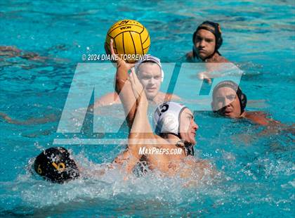 Thumbnail 1 in Redwood vs. Foothill photogallery.
