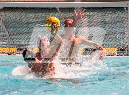 Thumbnail 3 in Redwood vs. Foothill photogallery.