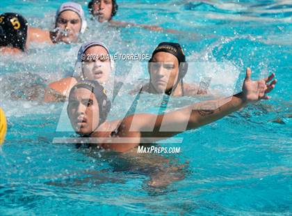 Thumbnail 1 in Redwood vs. Foothill photogallery.