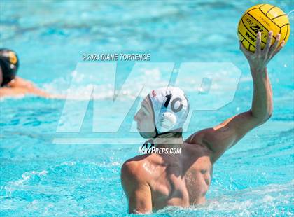 Thumbnail 2 in Redwood vs. Foothill photogallery.
