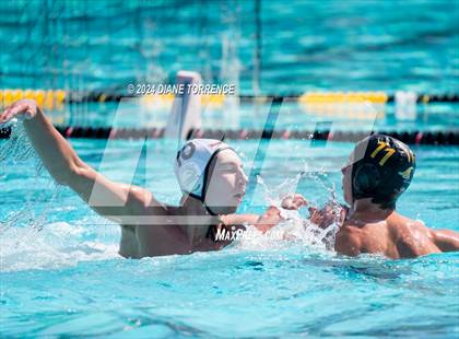 Thumbnail 2 in Redwood vs. Foothill photogallery.