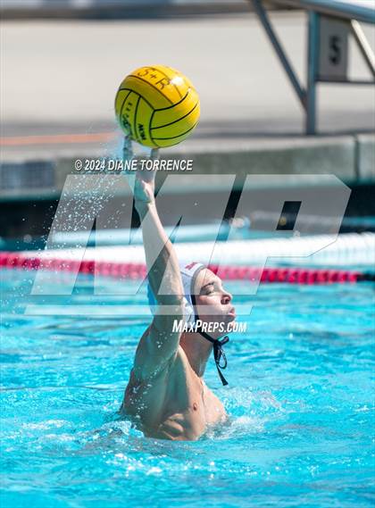 Thumbnail 3 in Redwood vs. Foothill photogallery.