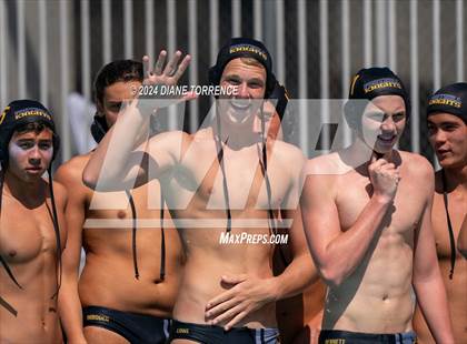 Thumbnail 2 in Redwood vs. Foothill photogallery.