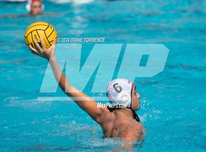 Thumbnail 2 in Redwood vs. Foothill photogallery.