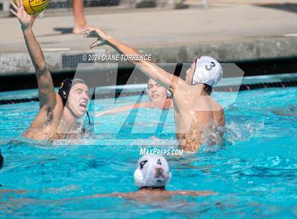 Thumbnail 2 in Redwood vs. Foothill photogallery.