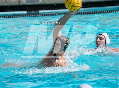 Thumbnail 1 in Redwood vs. Foothill photogallery.