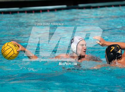 Thumbnail 2 in Redwood vs. Foothill photogallery.