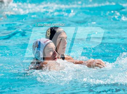 Thumbnail 2 in Redwood vs. Foothill photogallery.