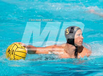 Thumbnail 3 in Redwood vs. Foothill photogallery.