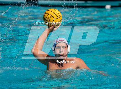Thumbnail 2 in Redwood vs. Foothill photogallery.