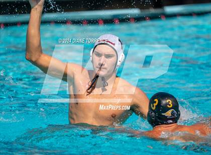 Thumbnail 1 in Redwood vs. Foothill photogallery.
