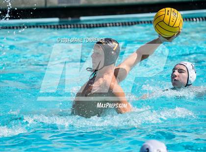 Thumbnail 3 in Redwood vs. Foothill photogallery.