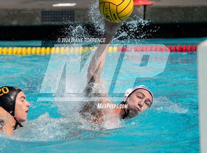 Thumbnail 3 in Redwood vs. Foothill photogallery.