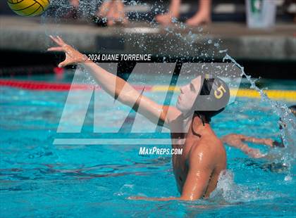 Thumbnail 3 in Redwood vs. Foothill photogallery.