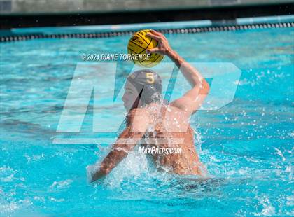 Thumbnail 3 in Redwood vs. Foothill photogallery.