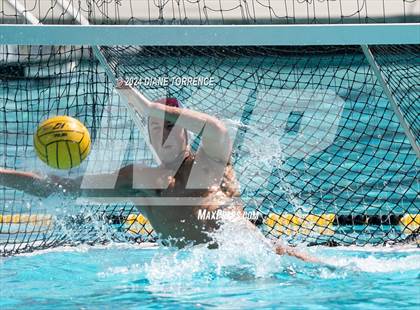 Thumbnail 2 in Redwood vs. Foothill photogallery.